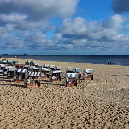 Nachtstern Zinnowitz